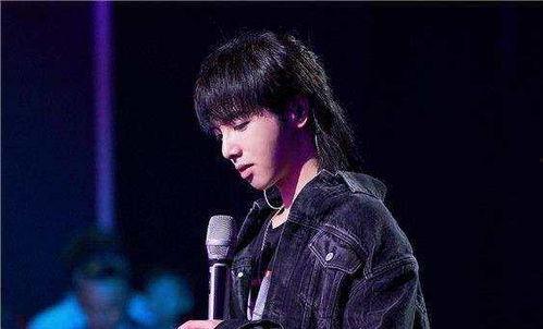 吃瓜娱乐华晨宇是谁,吃瓜娱乐界的音乐奇才